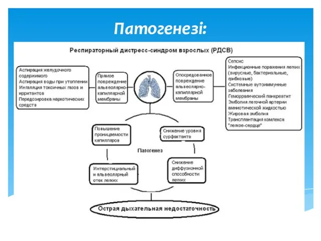 Патогенезі: