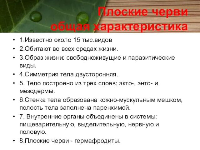 Плоские черви общая характеристика 1.Известно около 15 тыс.видов 2.Обитают во всех