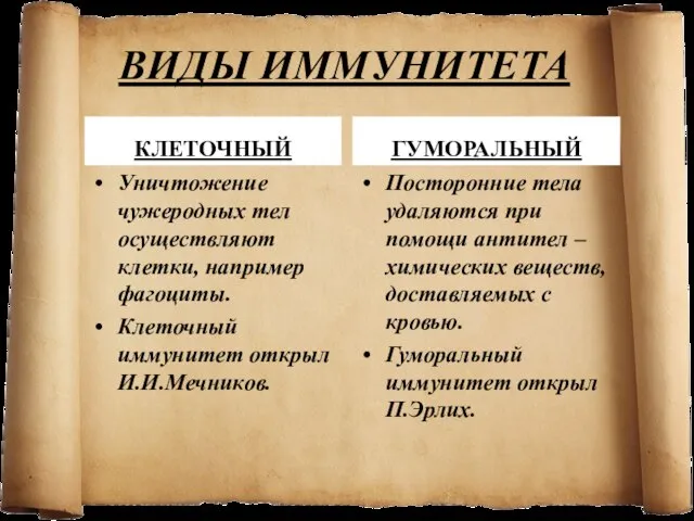 ВИДЫ ИММУНИТЕТА КЛЕТОЧНЫЙ Уничтожение чужеродных тел осуществляют клетки, например фагоциты. Клеточный