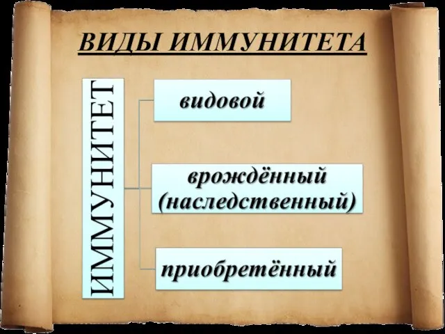 ВИДЫ ИММУНИТЕТА