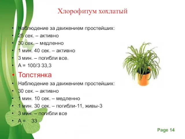 Хлорофитум хохлатый Наблюдение за движением простейших: 25 сек. – активно 30