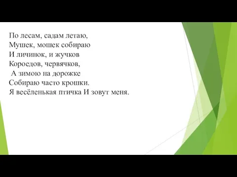 По лесам, садам летаю, Мушек, мошек собираю И личинок, и жучков