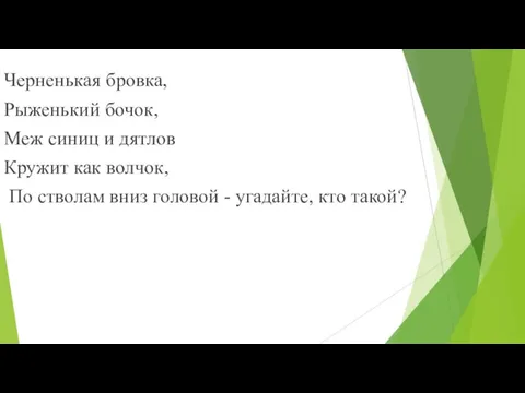 Черненькая бровка, Рыженький бочок, Меж синиц и дятлов Кружит как волчок,