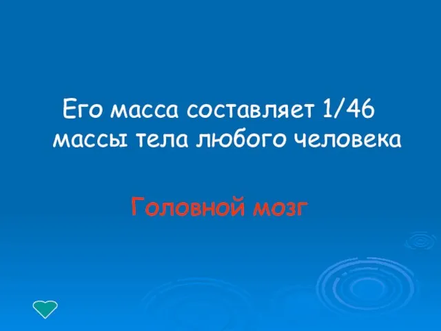 Его масса составляет 1/46 массы тела любого человека Головной мозг