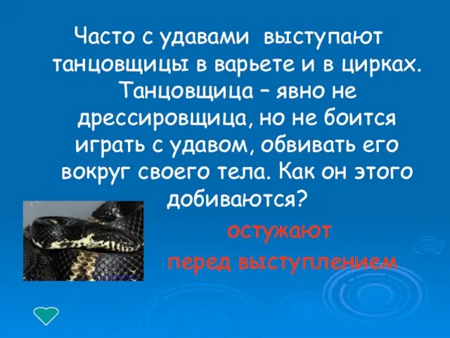 Часто с удавами выступают танцовщицы в варьете и в цирках. Танцовщица