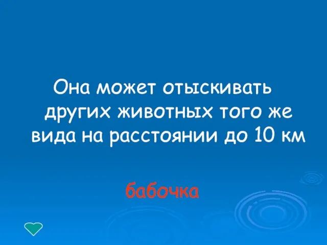 Она может отыскивать других животных того же вида на расстоянии до 10 км бабочка