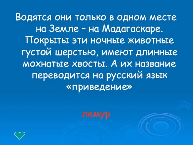 Водятся они только в одном месте на Земле – на Мадагаскаре.