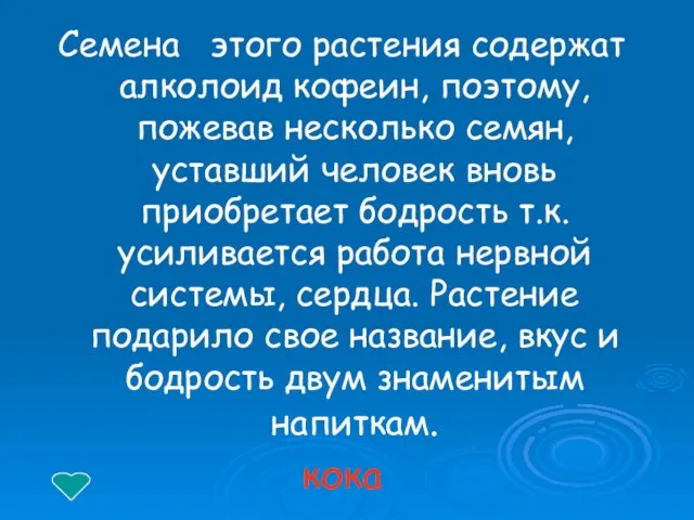 Семена этого растения содержат алколоид кофеин, поэтому, пожевав несколько семян, уставший