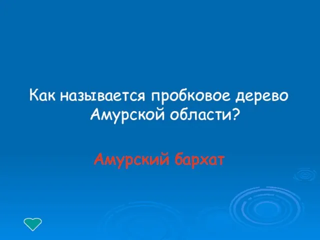 Как называется пробковое дерево Амурской области? Амурский бархат