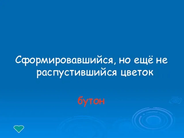 Сформировавшийся, но ещё не распустившийся цветок бутон