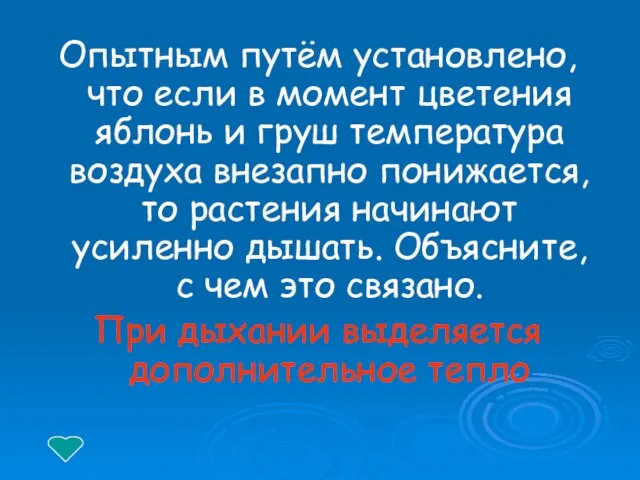 Опытным путём установлено, что если в момент цветения яблонь и груш