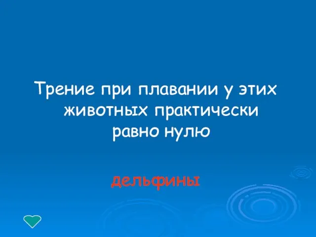 Трение при плавании у этих животных практически равно нулю дельфины