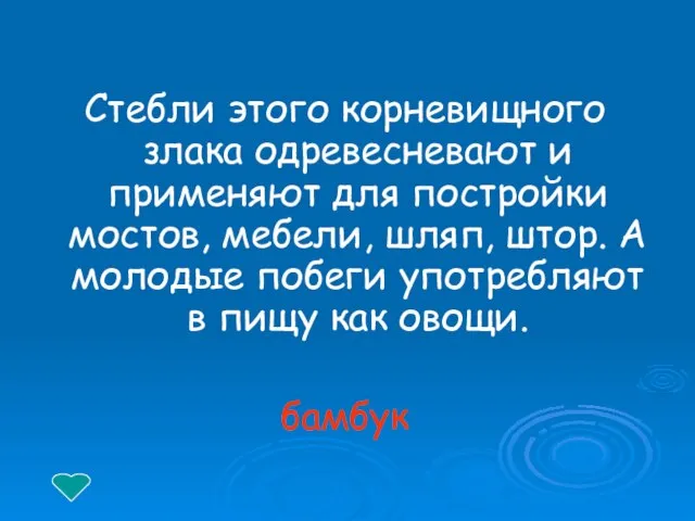 Стебли этого корневищного злака одревесневают и применяют для постройки мостов, мебели,