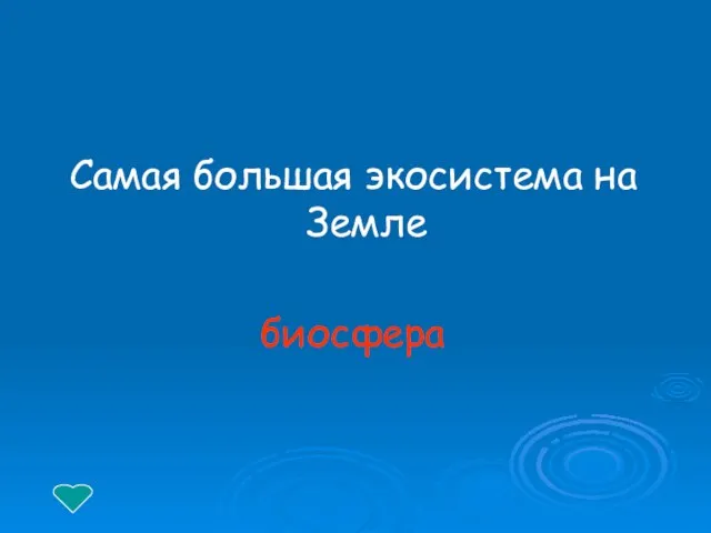 Самая большая экосистема на Земле биосфера