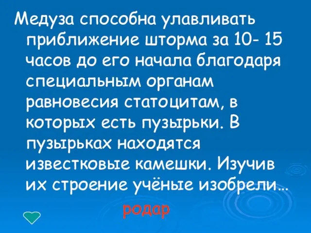 Медуза способна улавливать приближение шторма за 10- 15 часов до его