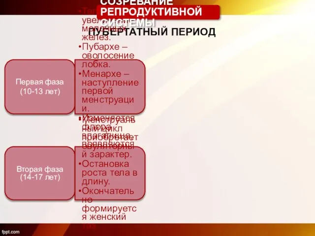 ПУБЕРТАТНЫЙ ПЕРИОД Первая фаза (10-13 лет) Телархе – увеличение молочных желез.