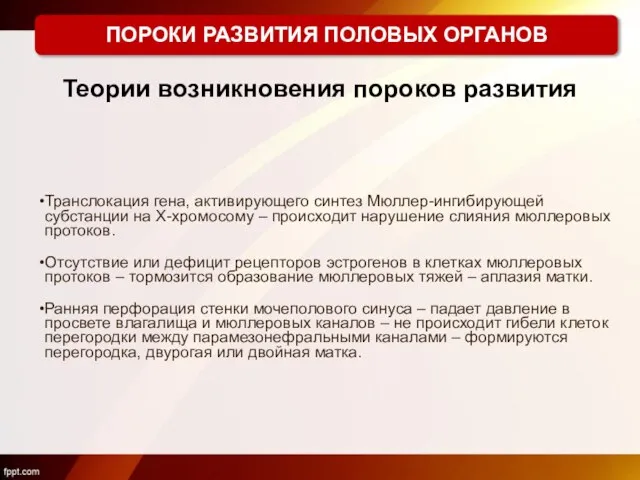 Теории возникновения пороков развития Транслокация гена, активирующего синтез Мюллер-ингибирующей субстанции на