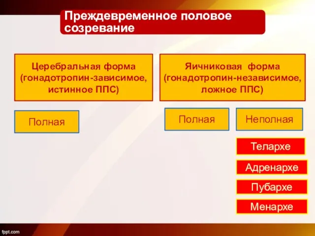 Преждевременное половое созревание Церебральная форма (гонадотропин-зависимое, истинное ППС) Яичниковая форма (гонадотропин-независимое,