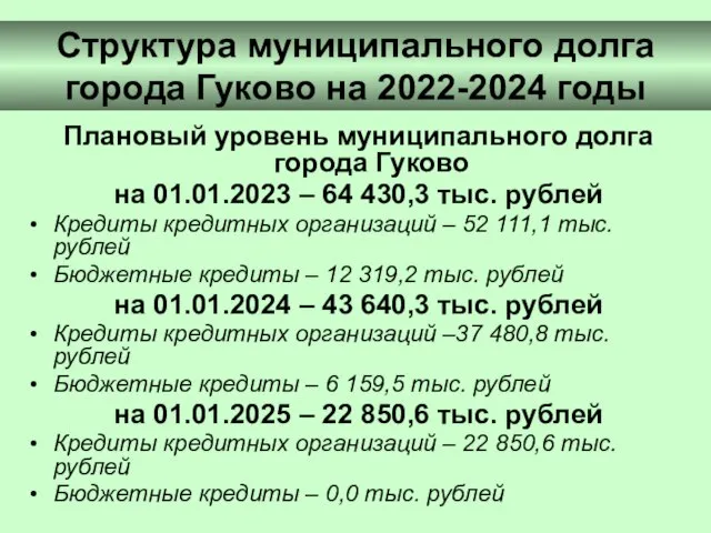 Структура муниципального долга города Гуково на 2022-2024 годы Плановый уровень муниципального