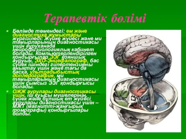 Терапевтік бөлімі Бөлімде төмендегі: ем және диагностика жұмыстары жүргізіледі: Жүйке жүйесі