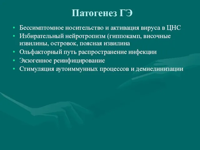 Патогенез ГЭ Бессимптомное носительство и активация вируса в ЦНС Избирательный нейротропизм