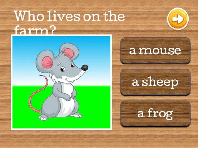 a mouse a sheep a frog Who lives on the farm?