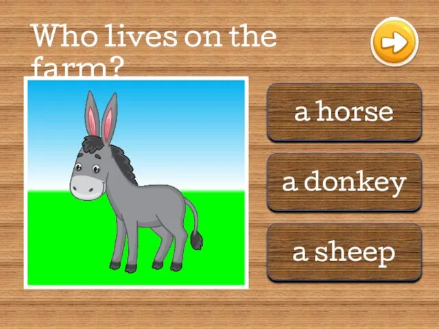 a horse a donkey a sheep Who lives on the farm?