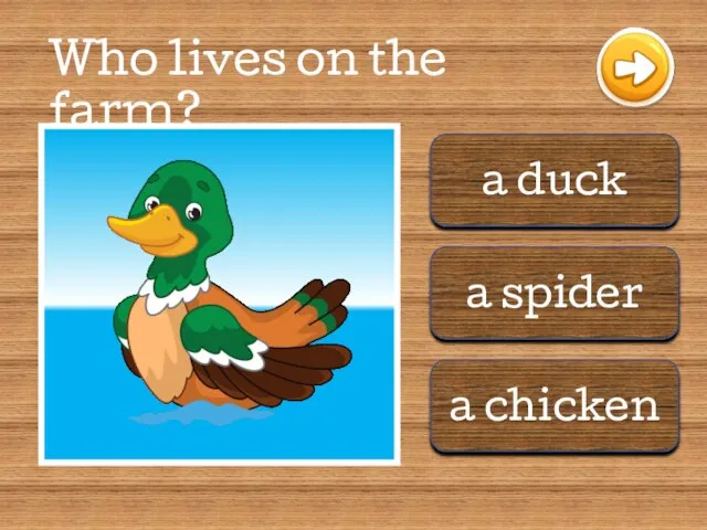a duck a spider a chicken Who lives on the farm?