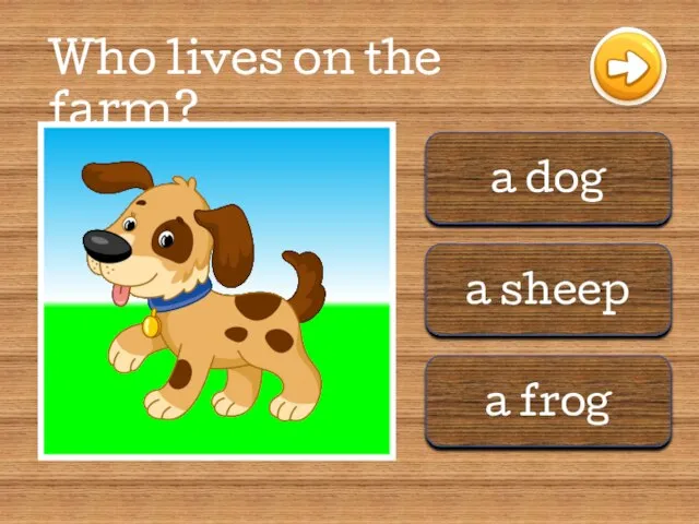 a dog a sheep a frog Who lives on the farm?