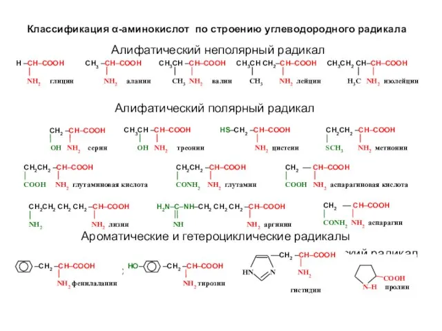 Классификация α-аминокислот по строению углеводородного радикала Алифатический неполярный радикал Алифатический полярный