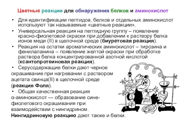 Цветные реакции для обнаружения белков и аминокислот Для идентификации пептидов, белков