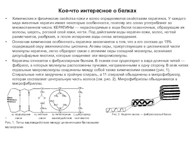 Кое-что интересное о белках Химические и физические свойства кожи и волос