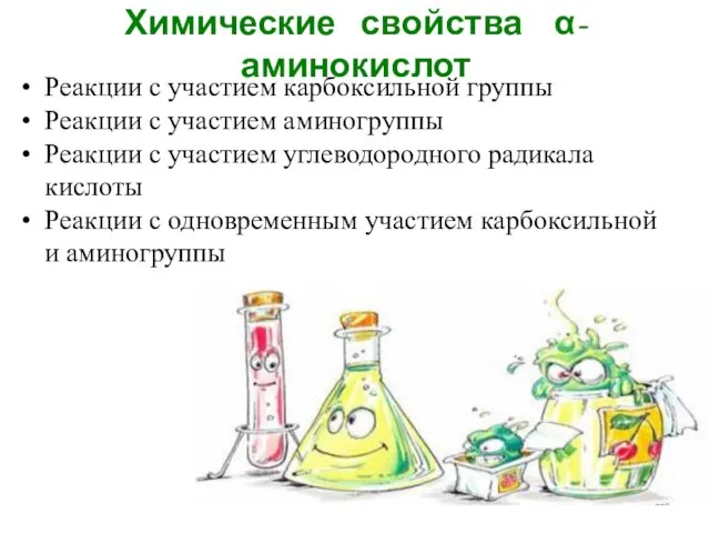 Химические свойства α-аминокислот Реакции с участием карбоксильной группы Реакции с участием