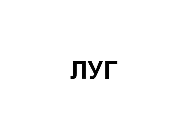 ЛУГ