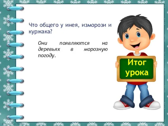 Итог урока Что общего у инея, изморози и куржака? Они появляются на деревьях в морозную погоду.