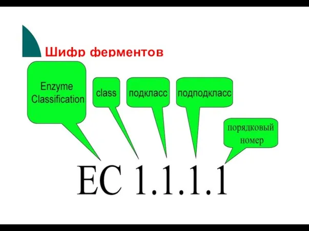 Шифр ферментов