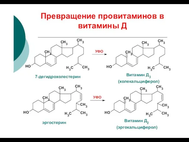Превращение провитаминов в витамины Д CH3 H3C CH3 CH3 CH3 HO