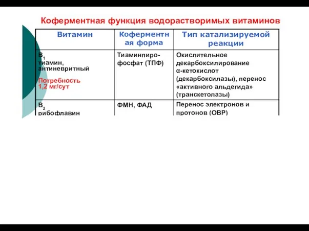 Коферментная функция водорастворимых витаминов