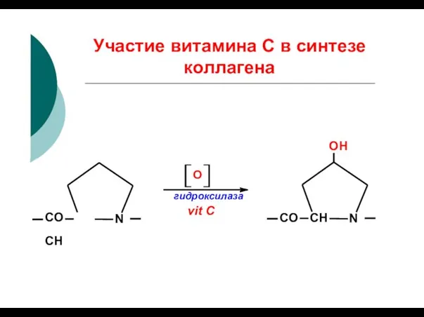 Участие витамина С в синтезе коллагена OH CO СН N О