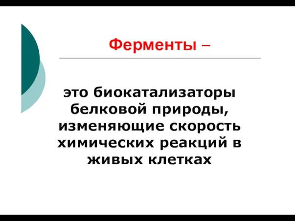 Ферменты – это биокатализаторы белковой природы, изменяющие скорость химических реакций в живых клетках