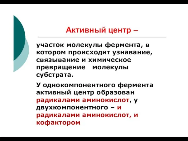 Активный центр – участок молекулы фермента, в котором происходит узнавание, связывание