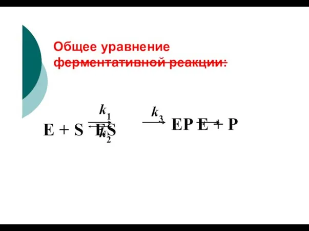 Общее уравнение ферментативной реакции: k1 E + S ES EP E + P k2 k3