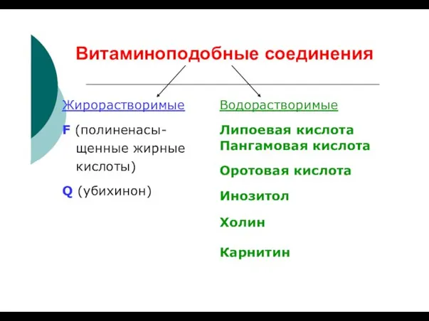 Витаминоподобные соединения Жирорастворимые F (полиненасы- щенные жирные кислоты) Q (убихинон) Водорастворимые