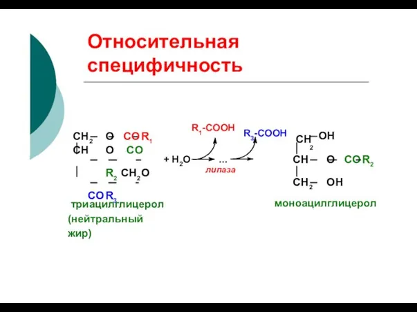 Относительная специфичность R1-COOH R3-COOH СН 2 OH + Н2О ... липаза