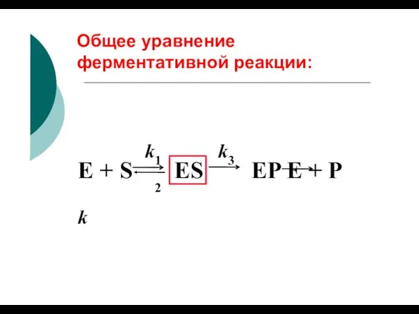 Общее уравнение ферментативной реакции: ES EP E + P E + S k 2 k3 k1