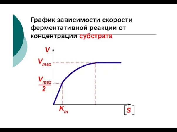 График зависимости скорости ферментативной реакции от концентрации субстрата