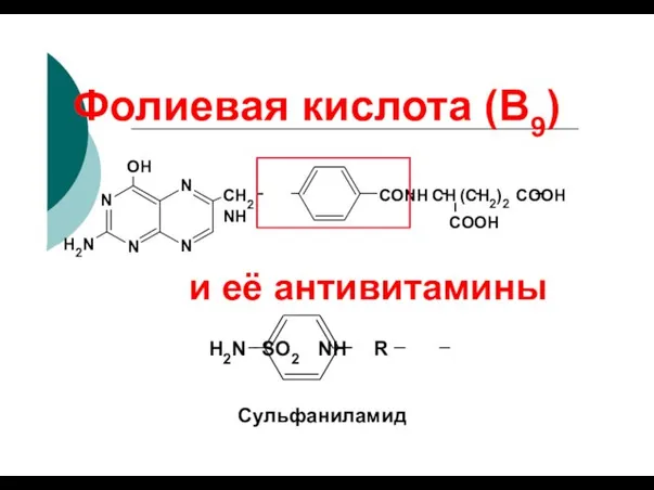 Фолиевая кислота (В9) N N OH СН2 NH СО NH СН