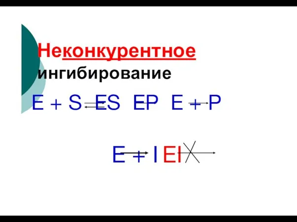 Неконкурентное ингибирование E + S ES EP E + P E + I EI