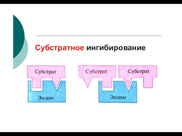 Субстратное ингибирование