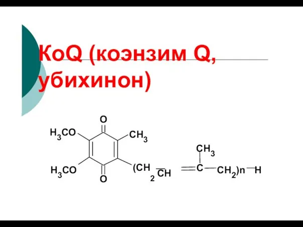 КоQ (коэнзим Q, убихинон) O O (СН2 СН С СН2)n Н CH3 CH3 Н3СО Н3СО